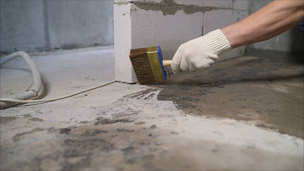 Top rated local Wet Basement Repair specialists in Fowlerville, MI